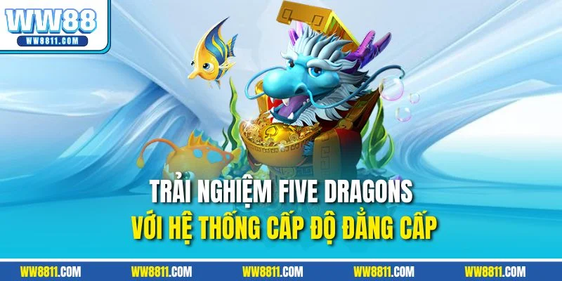 Trải nghiệm Five Dragons với hệ thống cấp độ đẳng cấp